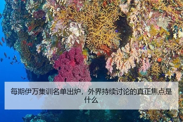 mei-qi-yi-wan-ji-xun-ming-dan-chu-lu-wai-jie-chi-xu-tao-lun-de-zhen-zheng-jiao-dian-shi-shen-me-1-803.jpg